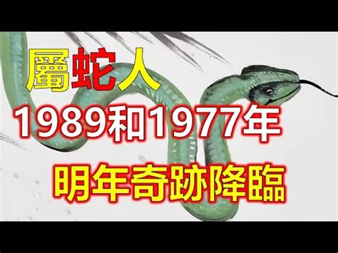 89年五行|1989属蛇的五行 1989年属蛇蛇是什么命